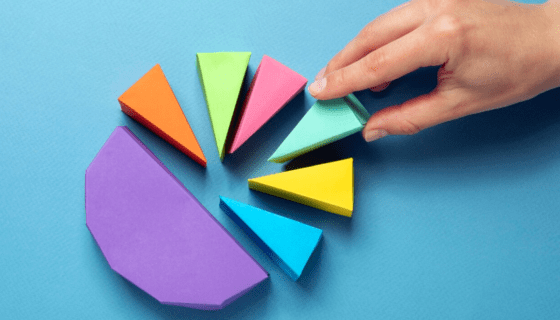 carteira composição